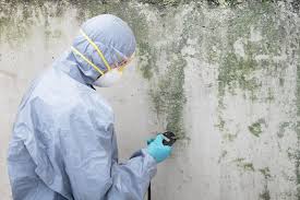 Best Mold Odor Removal Services  in Eastlake, OH